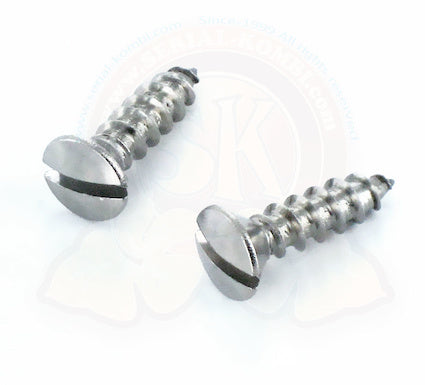 Schrauben Türhalteband an Laderaumtüren, Edelstahl, 50- 07/79, (paar)