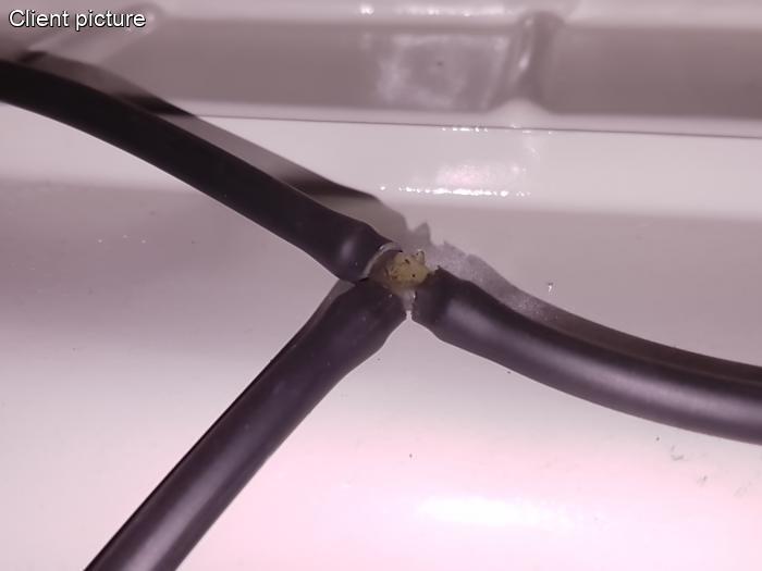 Schlauch, Wischwasser, 3.0 mm, pro Meter, ø 3.0 mm