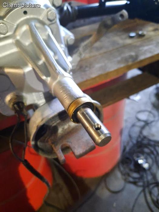 Buchse, Schaltgehäuse, Top